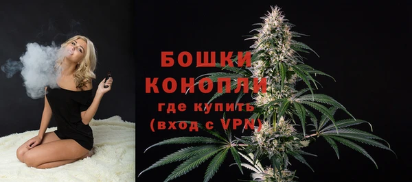 амф Липки