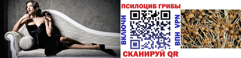 Галлюциногенные грибы Psilocybine cubensis Островной